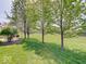 Expansive backyard featuring lush green grass and mature trees offering plenty of room for outdoor activities at 3480 Limelight Ln, Whitestown, IN 46075