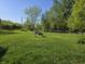 Expansive green backyard dotted with mature trees and vegetation at 5103 W Vermont St, Indianapolis, IN 46224