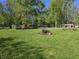 Grassy backyard with mature trees, and an interesting stack of brush at 5103 W Vermont St, Indianapolis, IN 46224