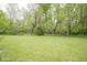 Expansive backyard featuring lush green grass and a backdrop of mature trees at 6270 Lancaster Pl, Zionsville, IN 46077
