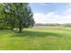 Serene backyard featuring lush green lawn, mature shade trees, and a distant view of open fields at 8292 E 100 S, Greenfield, IN 46140