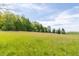 Expansive view of the property featuring a field of tall grass, bordering mature trees, and a small barn at 8292 E 100 S, Greenfield, IN 46140