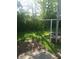 A backyard showcasing lush greenery, ideal for outdoor activities and relaxation at 1433 Charles St, Indianapolis, IN 46225