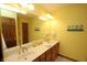 Bathroom featuring double sinks, a large mirror, and bright yellow walls at 17003 Whitebark Ct, Westfield, IN 46074
