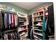 Organized walk-in closet with clothing racks and shelving for folded items and luggage storage at 17003 Whitebark Ct, Westfield, IN 46074