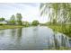Scenic pond view with a fountain, surrounded by lush greenery and mature trees at 1831 Whisperwood Trl, Danville, IN 46122
