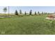 Large, well-kept lawn with a patio set offering a relaxing outdoor space at 192 Bluestem Ln, Whiteland, IN 46184