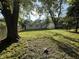 Large back yard with mature trees at 2453 Larnie Ln, Indianapolis, IN 46219