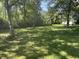 Lush backyard with many trees and ample lawn space at 2928 Cicero Rd, Noblesville, IN 46060
