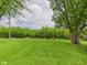 Lush green backyard with mature trees, creating a private outdoor space at 3140 W 18Th St, Anderson, IN 46011