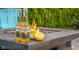 Close-up of the gas fire pit with Coronas and lemons at 6096 E Conestoga Trl, Columbus, IN 47203