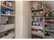 Organized pantry with multiple shelves and storage solutions at 7218 Antiquity Dr, Carmel, IN 46033