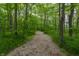 Winding mulch path through a green forest with mature trees and emerging plants at 7218 Antiquity Dr, Carmel, IN 46033