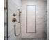The marble shower features mosaic tile and brass fixtures at 7626 Timber Springs S Dr, Fishers, IN 46038