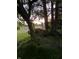 Backyard view showcasing a wooden bench beneath trees and natural landscape at 9909 E Mcgregor Rd, Indianapolis, IN 46259