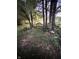 Beautiful backyard scenery featuring a wooden bench in a peaceful setting at 9909 E Mcgregor Rd, Indianapolis, IN 46259