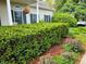 Well-maintained front yard with lush green hedges and colorful landscaping at 9909 E Mcgregor Rd, Indianapolis, IN 46259