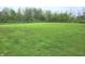 Expansive grassy yard with mature trees, offering plenty of space and privacy at 9909 E Mcgregor Rd, Indianapolis, IN 46259