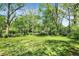 A well-maintained green lawn surrounded by mature trees and lush foliage, creating a private backyard at 1000 E King St, Franklin, IN 46131