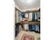 Walk-in closet with lots of space to store clothes and shoes with carpet flooring and a rug at 11243 Catalina Dr, Fishers, IN 46038