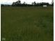 Field of tall grass with a white storage container and trees in the background at 1170 E 400 S, Lebanon, IN 46052