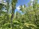 Lush green yard surrounded by trees at 1760 Pumpkinvine Hill Rd, Martinsville, IN 46151