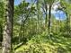 Wooded acreage providing privacy and natural beauty at 1760 Pumpkinvine Hill Rd, Martinsville, IN 46151