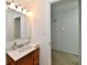 Bathroom vanity with a mirror and lights, offering ample storage and a clean, functional design at 5225 Elderberry Rd, Noblesville, IN 46062