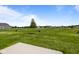 A sprawling backyard featuring green grass and tree lines at 10126 Redwood Peak Ln, Indianapolis, IN 46259
