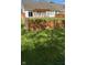 Nice backyard with green grass, a wood privacy fence, and pergola covered patio area at 12551 Hawks Landing Dr, Fishers, IN 46037