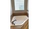 Bright bathroom features a large soaking tub with tile surround and decorative glass block window at 12551 Hawks Landing Dr, Fishers, IN 46037