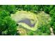 Aerial view of the pond filled with plants surrounded by trees and greenery on a clear day at 2240 Bill Smith Rd, Martinsville, IN 46151