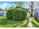 Landscaped front yard with lush green grass and mature shrubbery, adding to the home's curb appeal at 3609 N Keystone Ave, Indianapolis, IN 46218