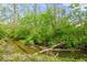 Idyllic view of a creek with lush greenery and fallen logs nestled in a tranquil wooded setting at 6682 English Dr, Avon, IN 46123