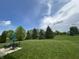 Expansive backyard featuring a well-manicured lawn, mature trees and an inviting patio set, perfect for outdoor entertaining at 6839 Powder Dr, Indianapolis, IN 46259