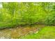 Tranquil creek flowing through the backyard at 9324 W Point Pl, Indianapolis, IN 46268