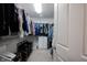 Spacious walk-in closet with built-in shelves, rods, drawers, and carpeted floor at 14030 Avalon East Dr, Fishers, IN 46037