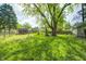 Large backyard with green grass, a big tree, and a shed in the distance at 3514 Eisenhower Dr, Indianapolis, IN 46224