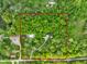 Expansive land with lush green trees, marked with a distinct red boundary line at 3660 S Conservation Club Rd, Morgantown, IN 46160