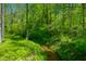 Scenic view of a small stream flowing through lush, green grounds at 3660 S Conservation Club Rd, Morgantown, IN 46160