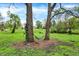 This backyard features mature trees with a hammock, tire swing, and a few other outdoor toys for children at 3975 Denwood Dr, Indianapolis, IN 46226