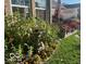Charming backyard garden with vibrant flowers, bird bath, and patio area at 4281 Cairo Way, Avon, IN 46123