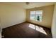 This sunny bedroom features neutral walls and plush carpeting at 5313 Brandywine Dr, Whitestown, IN 46075