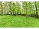 Lush, grassy lot with mature trees and foliage at 5611 Burning Tree Ct, Indianapolis, IN 46239