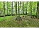 Wooded lot includes a clearing, tall trees, and undergrowth at 5611 Burning Tree Ct, Indianapolis, IN 46239