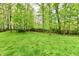 Green, grassy lot with scattered trees and foliage at 5611 Burning Tree Ct, Indianapolis, IN 46239