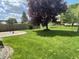 Large backyard featuring lush green grass, mature trees, and a fire pit for outdoor entertaining at 8234 Crosser Dr, Indianapolis, IN 46237
