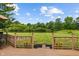 Backyard view from deck with lush green lawn, trees, and tranquil pond at 8316 Thorn Bend Dr, Indianapolis, IN 46278