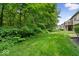 Lush backyard featuring green trees and foliage, providing a serene and private outdoor space at 9317 Muir Ln, Fishers, IN 46037