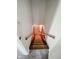 Carpeted staircase leading to lower level or basement with wooden handrails at 10827 Wonderland Dr, Indianapolis, IN 46239
